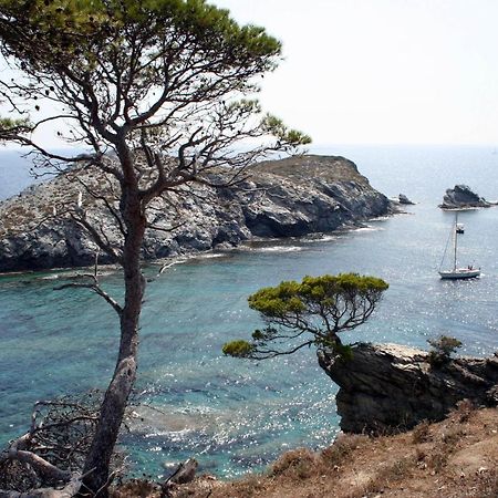 T2 Vue Mer 50M De La Plage A Giens Ιέρ Εξωτερικό φωτογραφία