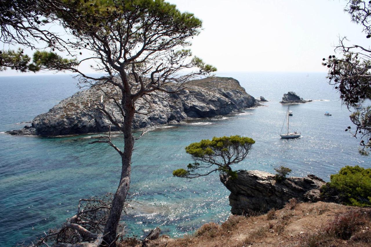 T2 Vue Mer 50M De La Plage A Giens Ιέρ Εξωτερικό φωτογραφία